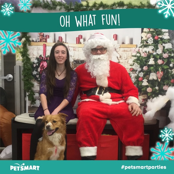 Designer accessories, cute clothes - Picture 2 of 2